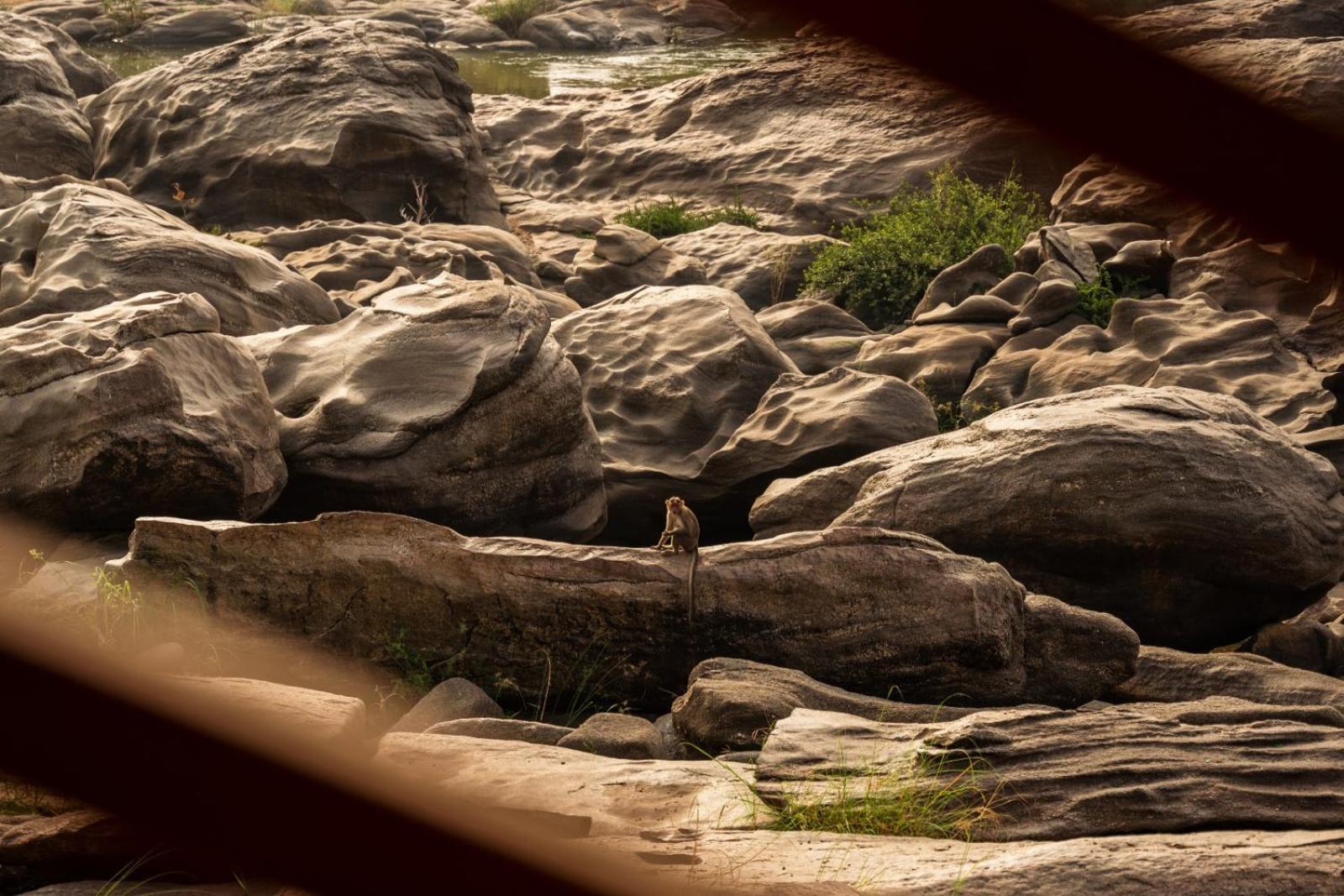 Отель Leo Woods Hampi River View Экстерьер фото